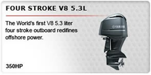 V8